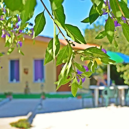 Dependance Miluna Nettuno